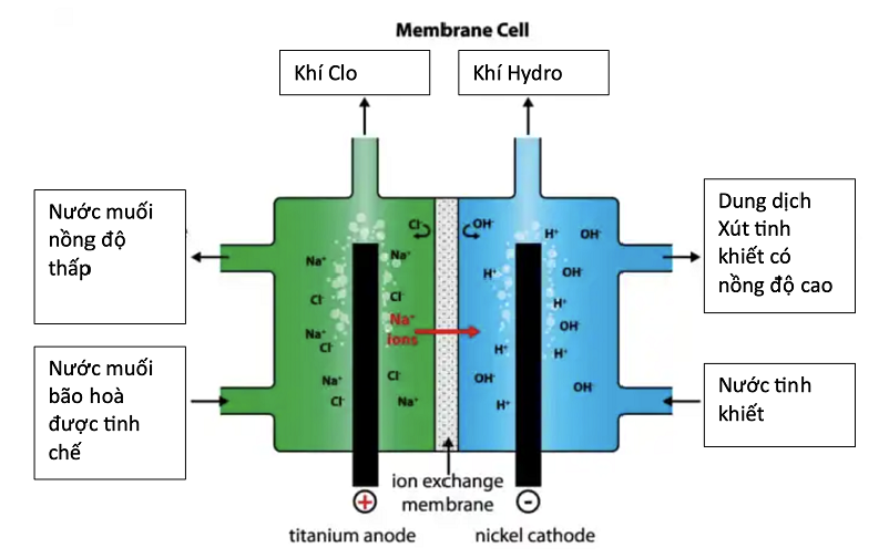 Cách Lựa Chọn Membrane Điện Phân Phù Hợp Cho Hệ Thống Chlor-Alkali